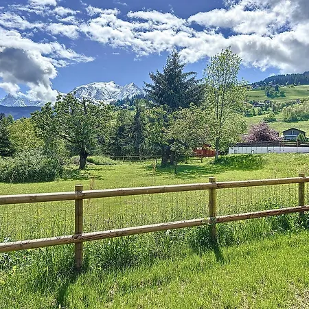 Neuf 3 A Combloux, Vue Mont Blanc, Jardin, Parking, Wifi - Fr-1-560-143